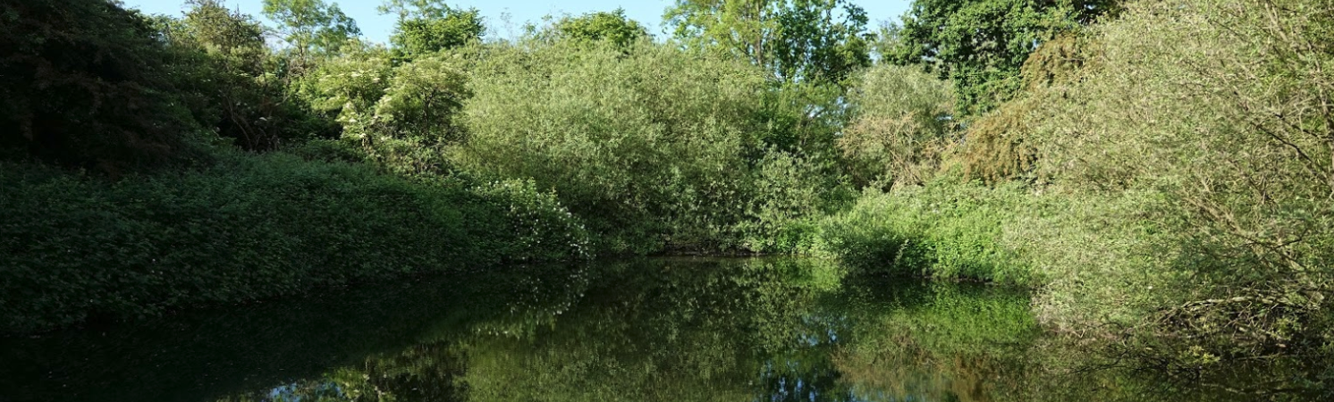 Eastrington Ponds